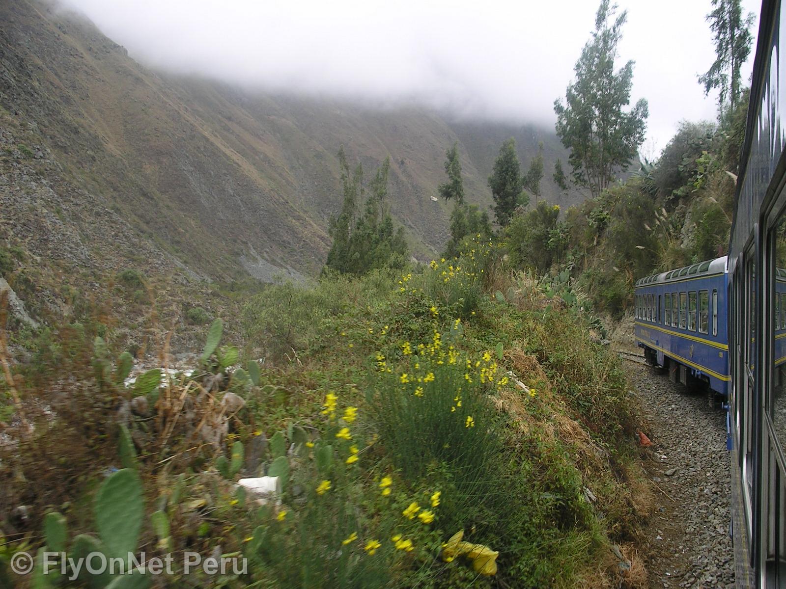 Photo Album: Machu Picchu