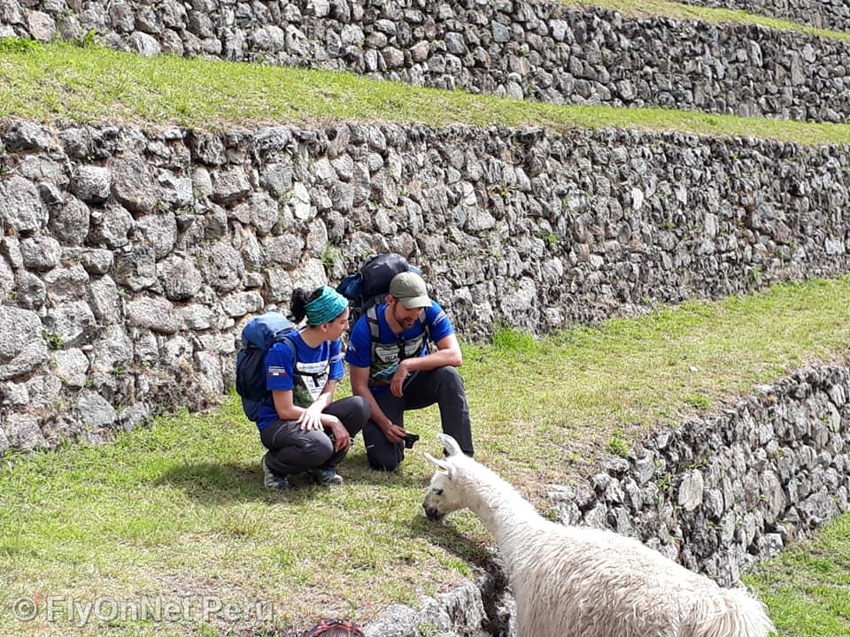 Photo Album: Machu Picchu